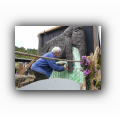 Erntedank_2010_Aufbau_10.jpg
